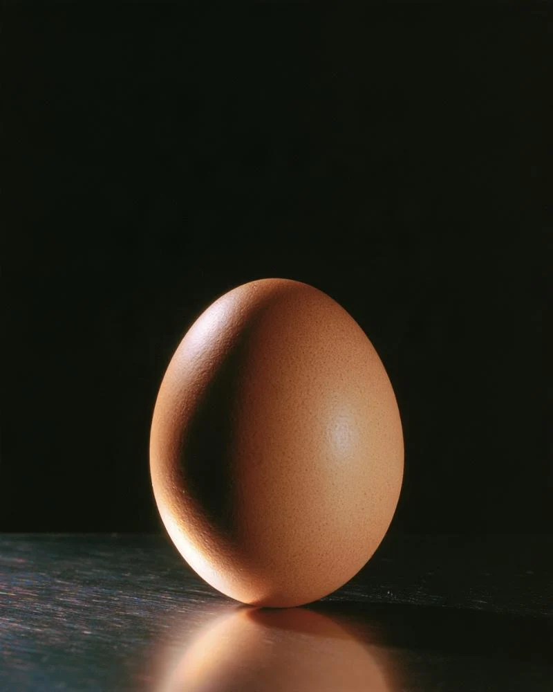 A single brown egg standing on brushed steel against black.